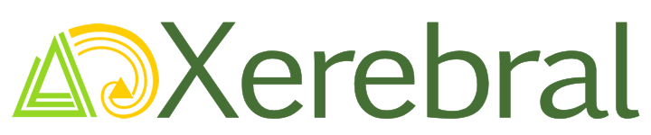 Services — Xerebral | Fractional People Analytics Leadership